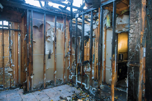 Professional Structural Rebuild technician working in Fritch, TX